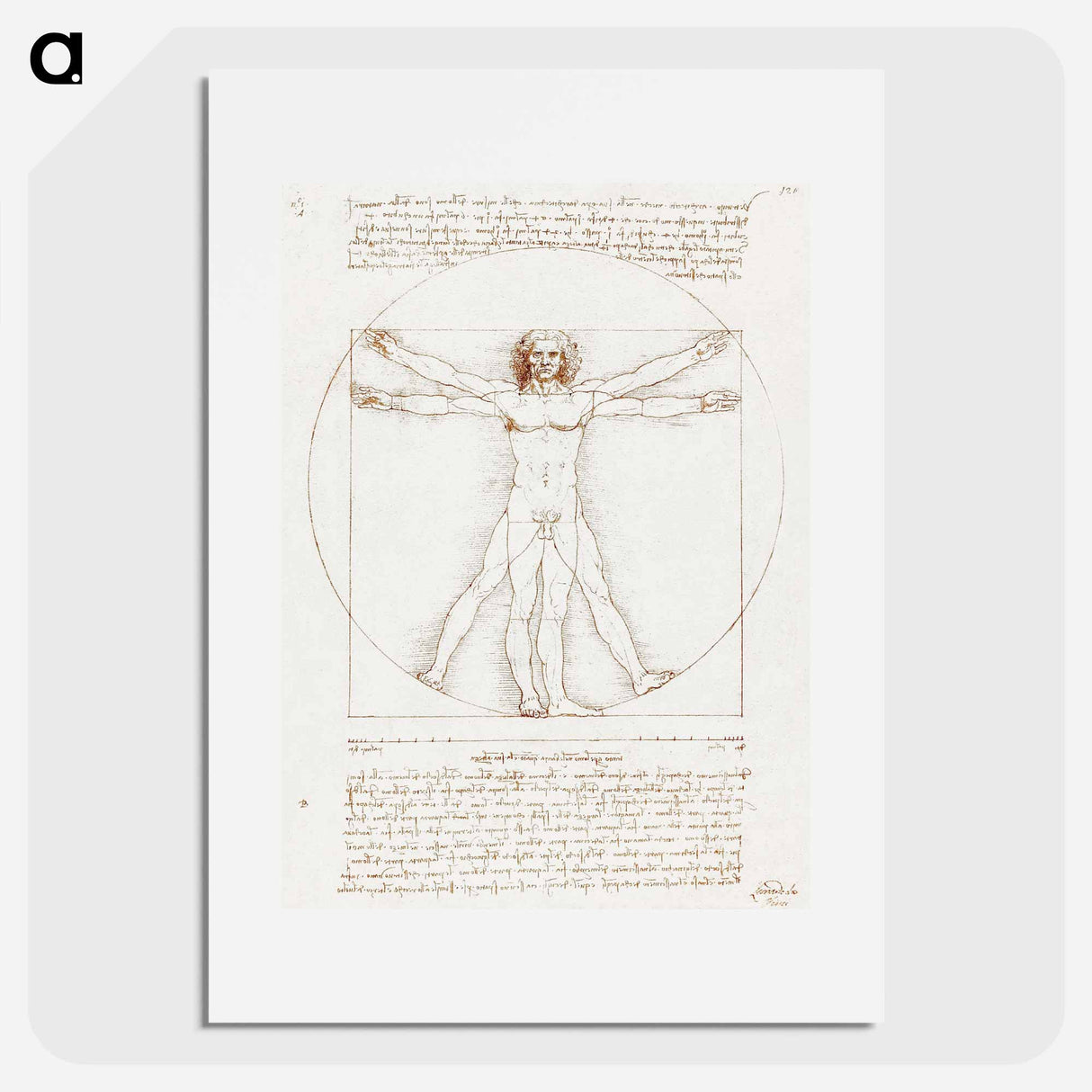 Vitruvian Man - Leonardo da Vinci Poster.