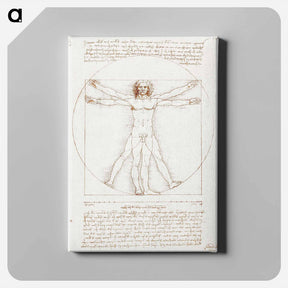 アートパネル-Vitruvian Man - レオナルド ダ ヴィンチ Canvas.