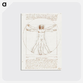 アートポストカード-Vitruvian Man - レオナルド ダ ヴィンチ Postcard.