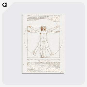 Vitruvian Man - レオナルド ダ ヴィンチ Postcard.