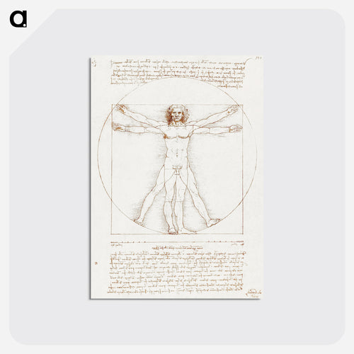 Vitruvian Man - レオナルド ダ ヴィンチ Postcard.