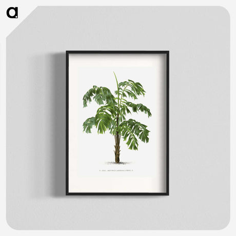 1-10_Les-Palmiers-Histoire-Iconographique_blk