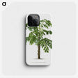 1-10_Les-Palmiers-Histoire-Iconographique_phone