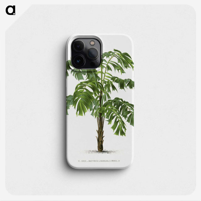 1-10_Les-Palmiers-Histoire-Iconographique_phone