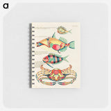 Marine Curiosities of the Indies
 - ルイ ルナール Memo.