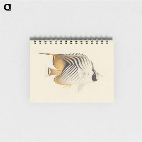 アートメモ帳-Unidentified Fish
 - ルイージ バルガーニ Memo.