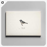 1-10_Magnus-von-Wright_canvas