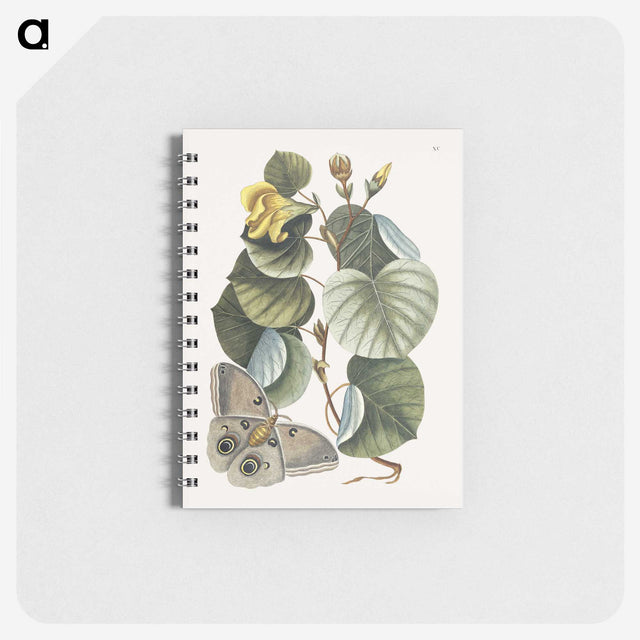 1-10_Mark-Catesby_memo