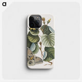 1-10_Mark-Catesby_phone