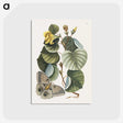 1-10_Mark-Catesby_postcard