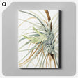 1-10_Mary-Vaux-Walcott_canvas