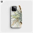 1-10_Mary-Vaux-Walcott_phone