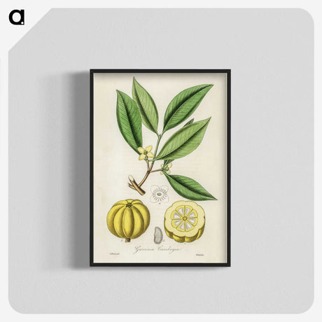 1-10_Medical-Botany_blk-crop