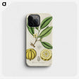 1-10_Medical-Botany_phone