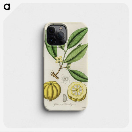 1-10_Medical-Botany_phone