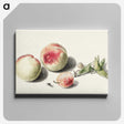 1-10_Michiel-van-Huysum_canvas