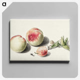 1-10_Michiel-van-Huysum_canvas