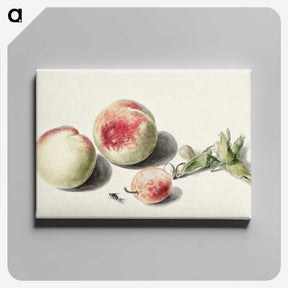 1-10_Michiel-van-Huysum_canvas