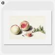1-10_Michiel-van-Huysum_picture