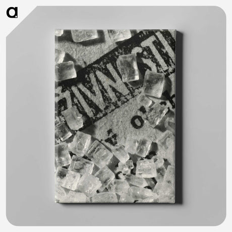1-10_Milos-Dohnany_canvas