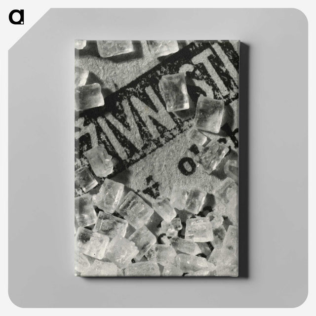 1-10_Milos-Dohnany_canvas