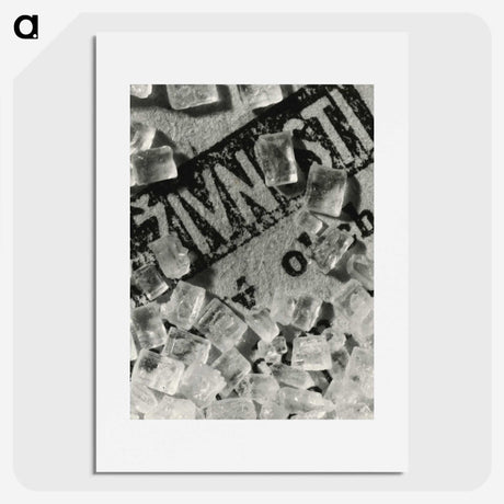 1-10_Milos-Dohnany_picture