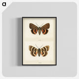 1-10_Moths-and-Butterflies-of-the-United-States_blk-crop