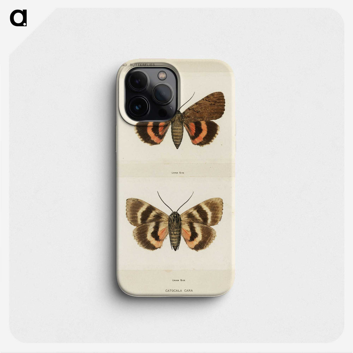 1-10_Moths-and-Butterflies-of-the-United-States_phone