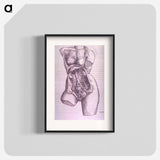 アートポスター-Gastrointestinal and Reproductive System Plate
 - 国立医学図書館 Poster.
