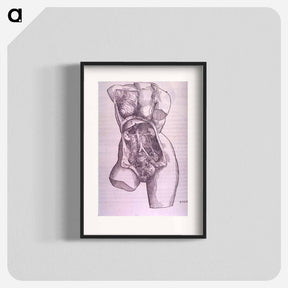 アートポスター-Gastrointestinal and Reproductive System Plate
 - 国立医学図書館 Poster.