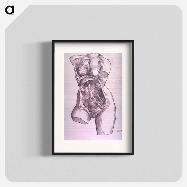 アートポスター-Gastrointestinal and Reproductive System Plate
 - 国立医学図書館 Poster.