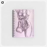 アートメモ帳-Gastrointestinal and Reproductive System Plate
 - 国立医学図書館 Memo.
