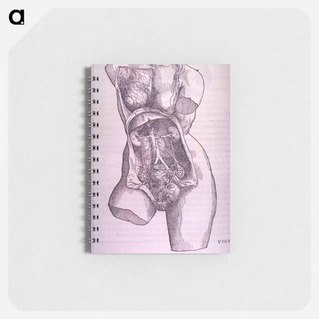 アートメモ帳-Gastrointestinal and Reproductive System Plate
 - 国立医学図書館 Memo.