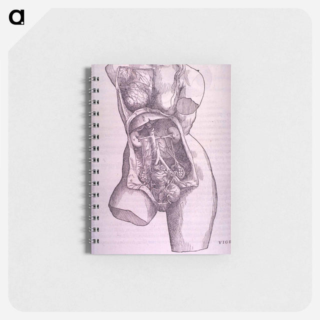 アートメモ帳-Gastrointestinal and Reproductive System Plate
 - 国立医学図書館 Memo.