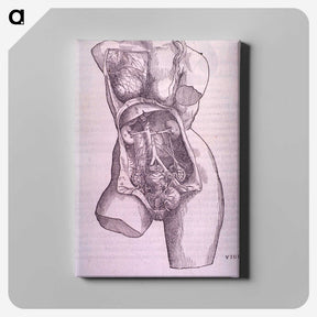 1-10_National-Library-of-Medicine_canvas