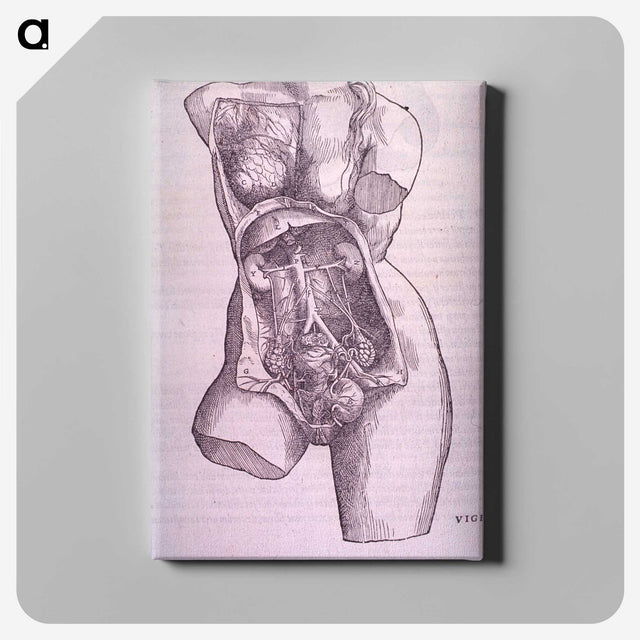1-10_National-Library-of-Medicine_canvas
