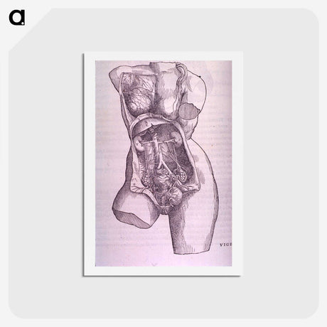 1-10_National-Library-of-Medicine_hagaki