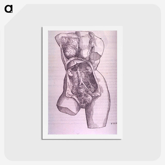 1-10_National-Library-of-Medicine_hagaki