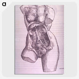 1-10_National-Library-of-Medicine_picture-crop