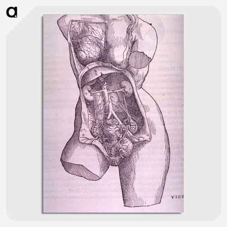 1-10_National-Library-of-Medicine_picture-crop