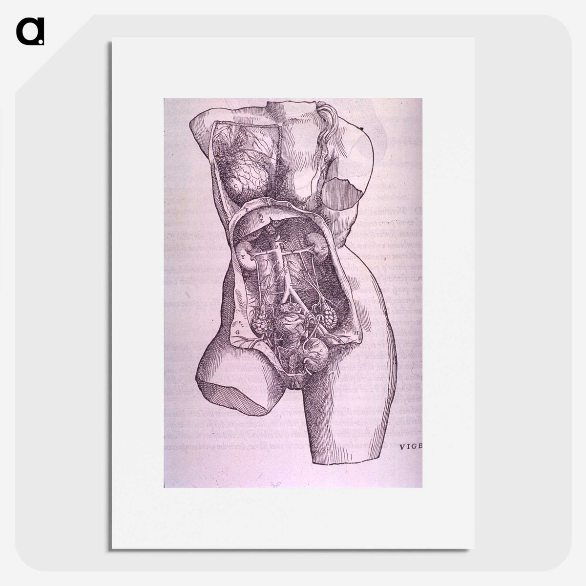 1-10_National-Library-of-Medicine_picture