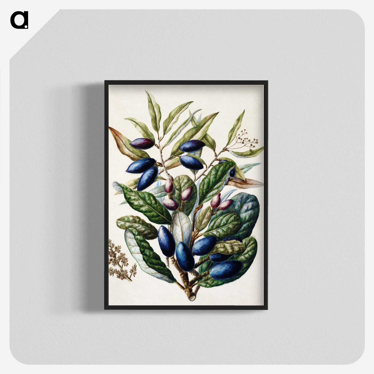 1-10_Native-Flowering-Plants-of-New-Zealand_blk-crop