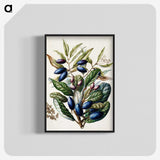 1-10_Native-Flowering-Plants-of-New-Zealand_blk-crop