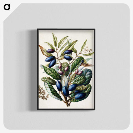 1-10_Native-Flowering-Plants-of-New-Zealand_blk-crop