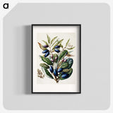 1-10_Native-Flowering-Plants-of-New-Zealand_blk