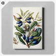 1-10_Native-Flowering-Plants-of-New-Zealand_canvas