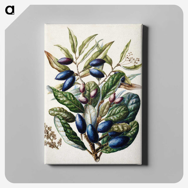 1-10_Native-Flowering-Plants-of-New-Zealand_canvas