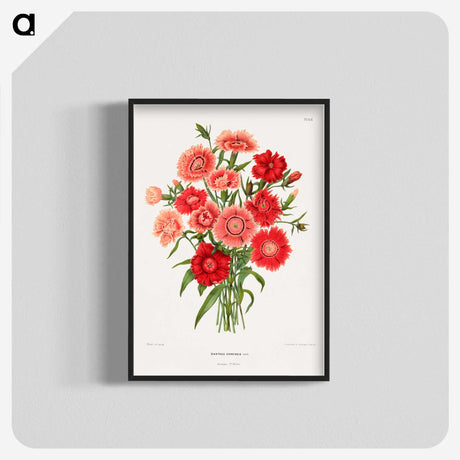 1-10_Nederlandsche-Flora-en-Pomona_blk-crop