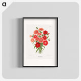 1-10_Nederlandsche-Flora-en-Pomona_blk