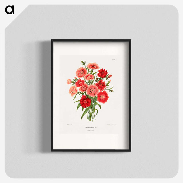 1-10_Nederlandsche-Flora-en-Pomona_blk